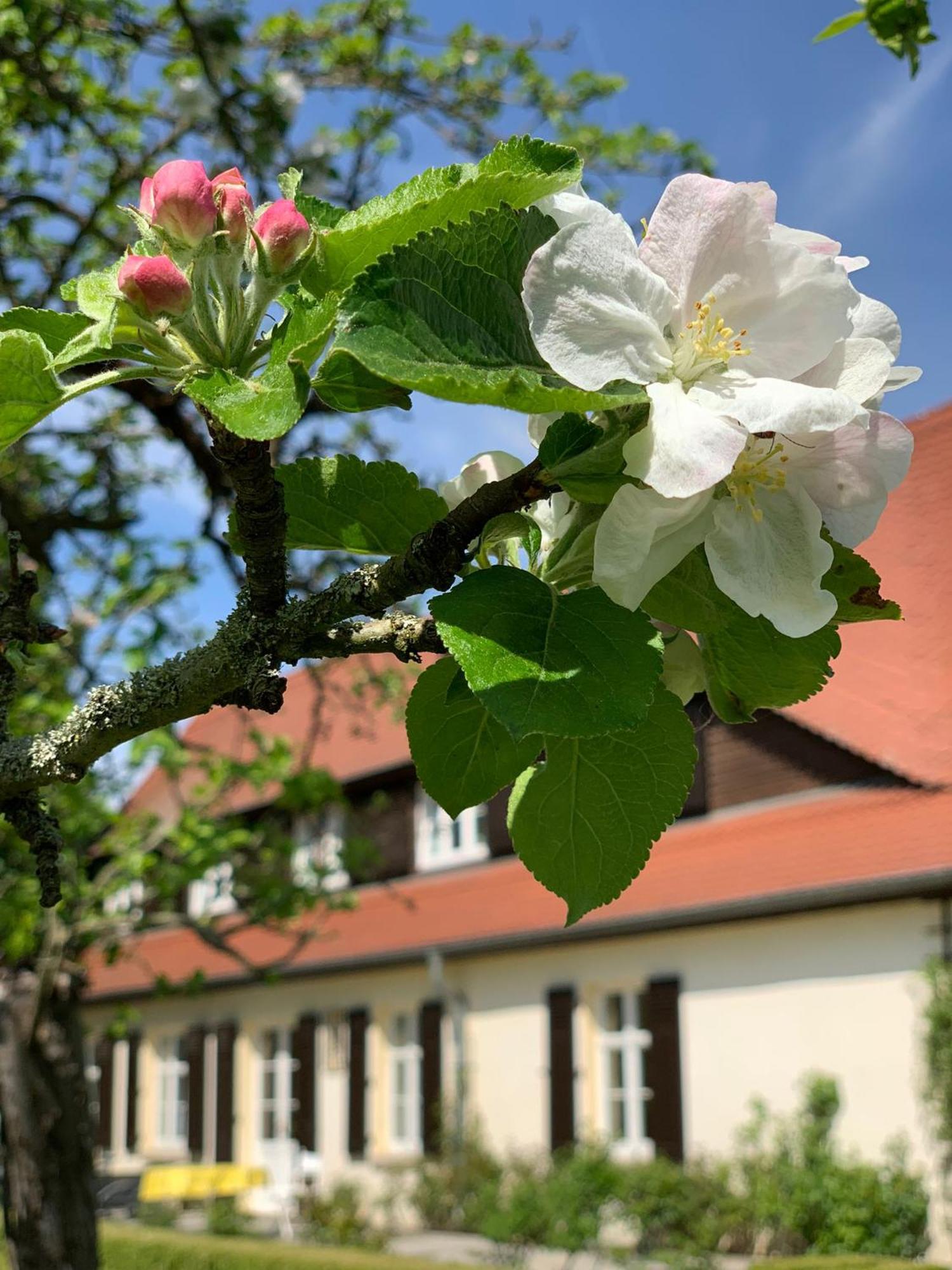 Landhaus Saaleck Наумбург Екстер'єр фото