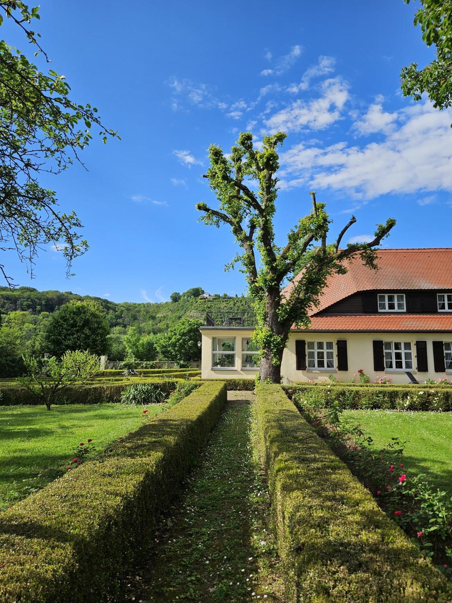Landhaus Saaleck Наумбург Екстер'єр фото